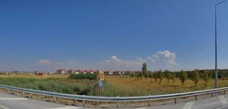 Afyonkarahisar 12. Noter (Merkez)